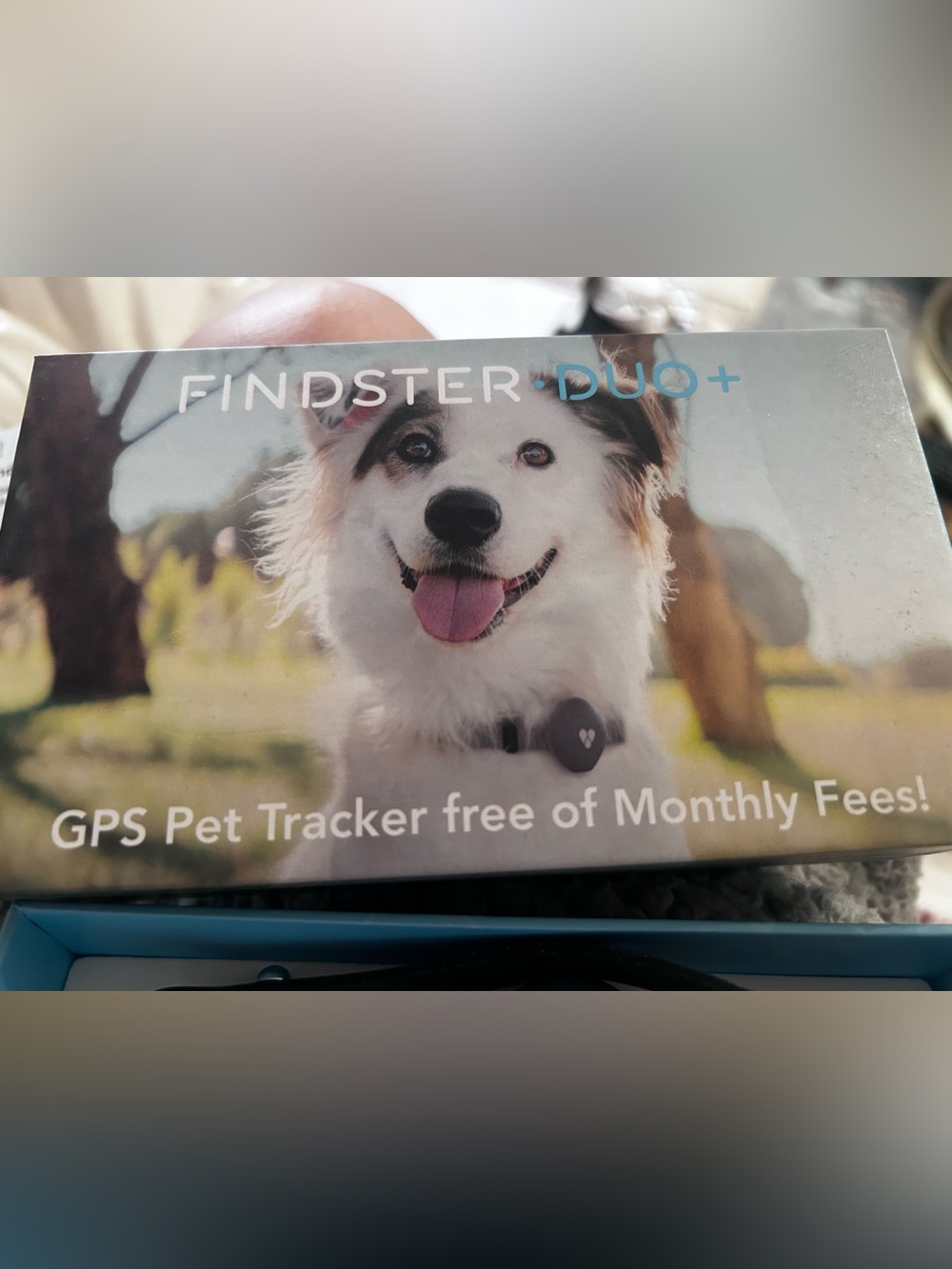 Duo+ GPS Pet Tracker Collar - Black